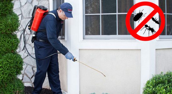 Çaybaşı Böcek ve Haşere İlaçlama böcek ilaçlama ve haşere kontrolü — ilaclama-tr.com